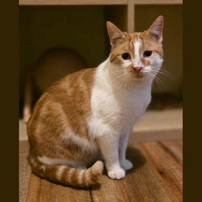 Photo of Cash