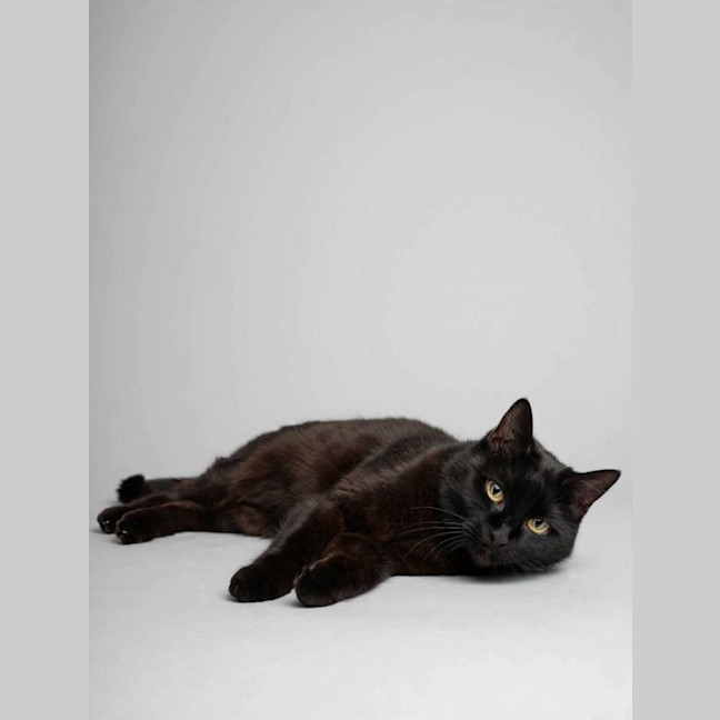 Photo of Mabel 