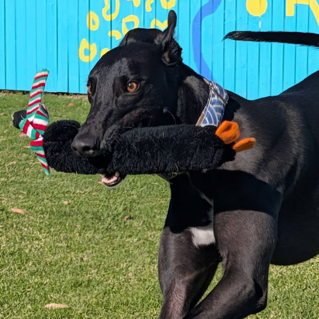 Photo of Zeus