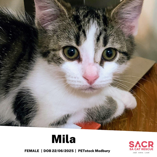 Photo of Mila