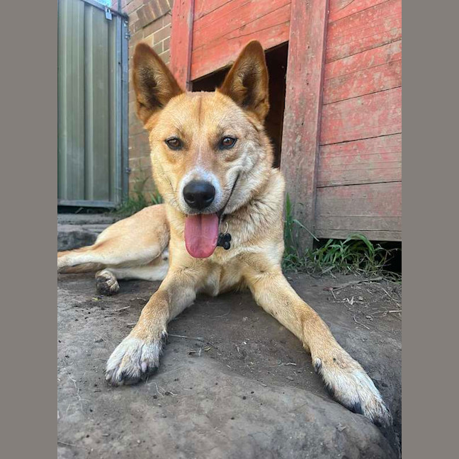 Photo of Ralph