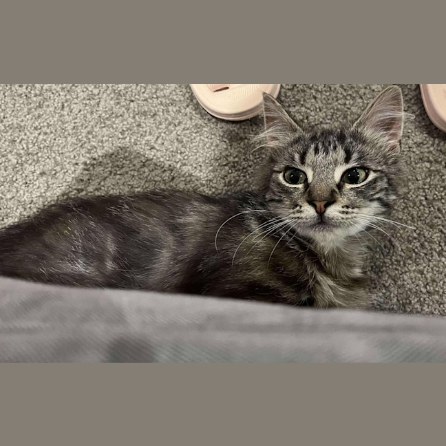 Photo of Pumpkin