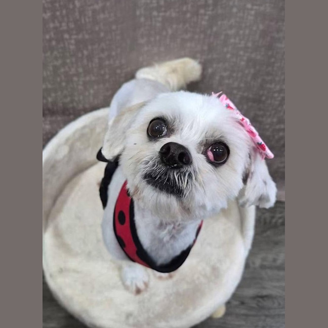 Photo of Nellie