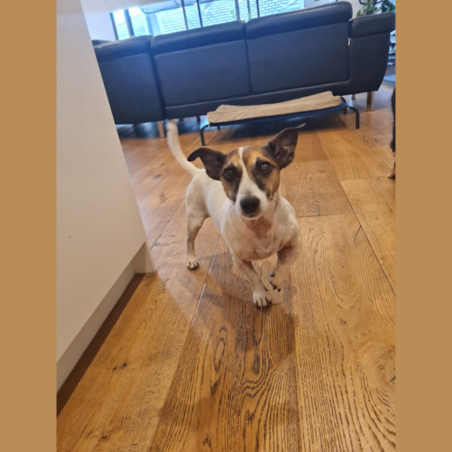 Photo of Jake