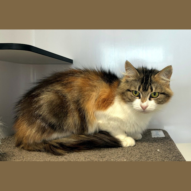 Photo of Miney Sta013249