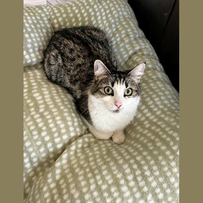 Photo of Feefee