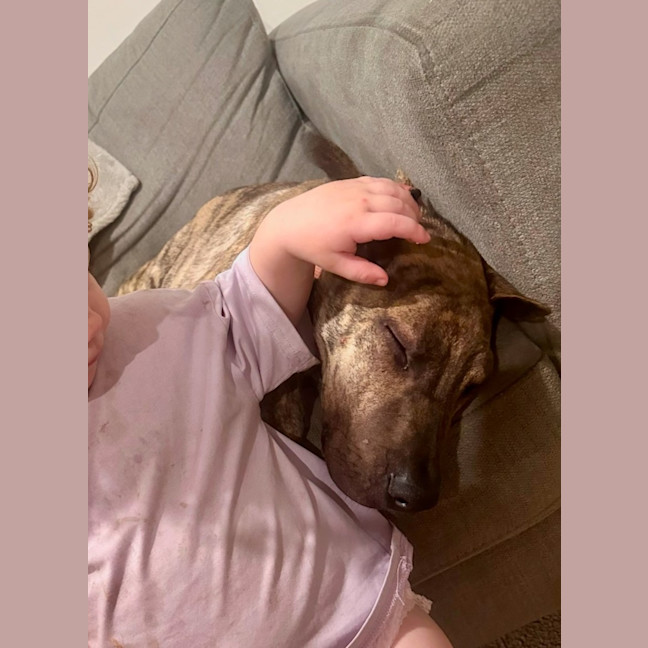 Photo of Tank (8872)