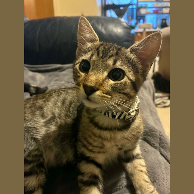 Photo of Aero