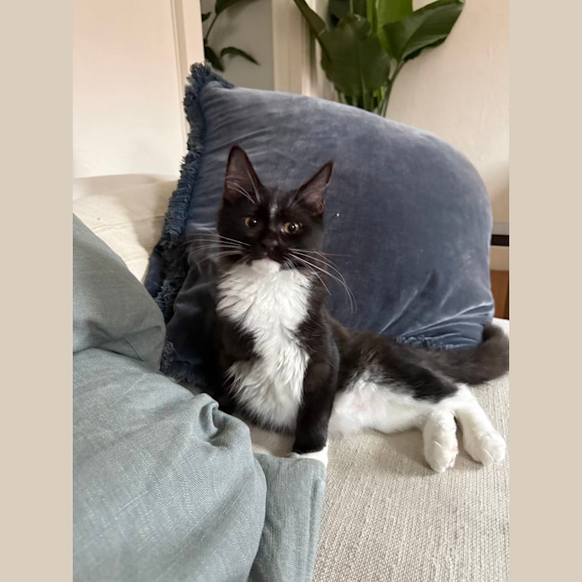 Photo of Pumpkin And Feta