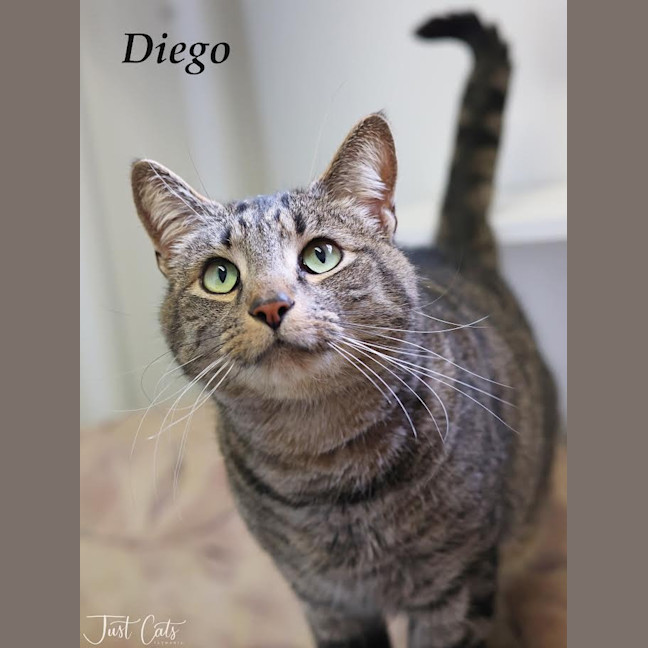 Photo of Diego