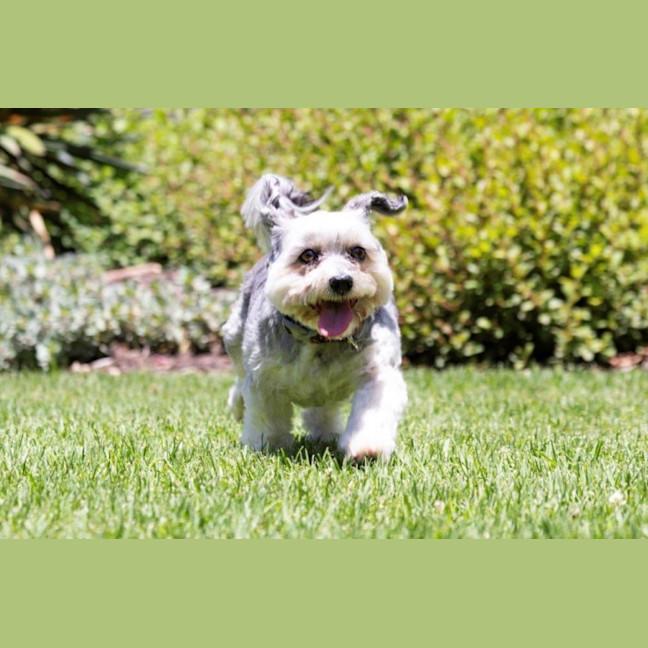 Photo of Lulu Lozano