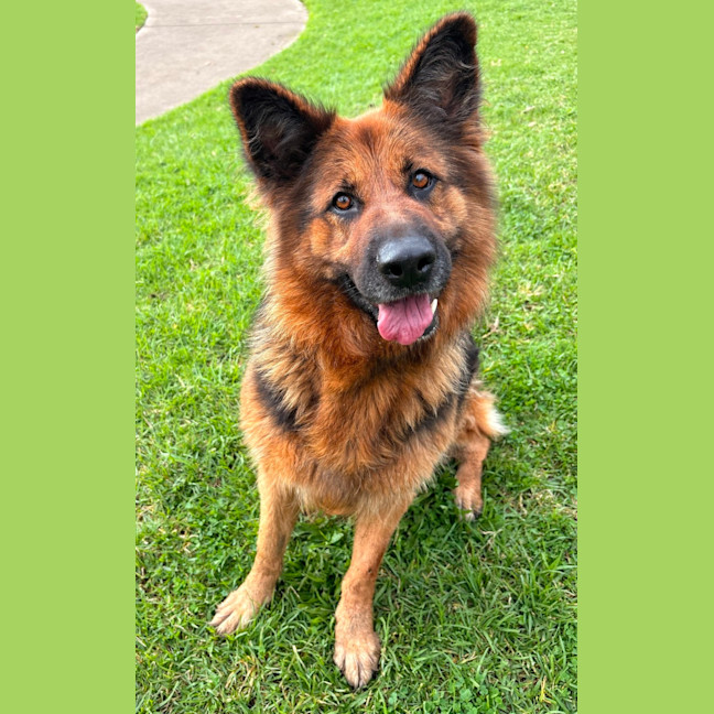Photo of Kira
