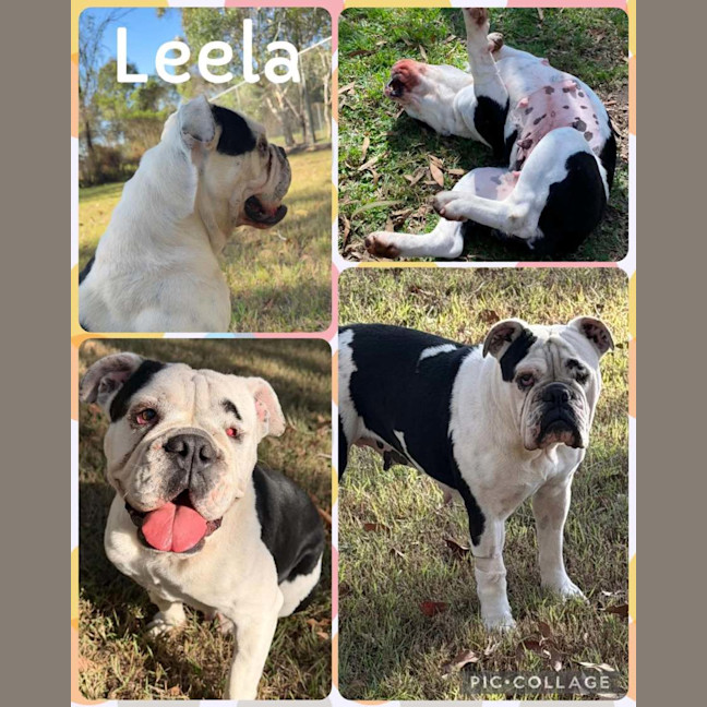 Photo of Leela