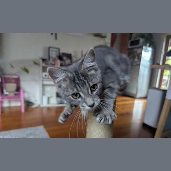 Photo of Disco