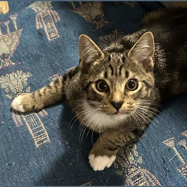 Photo of Monty