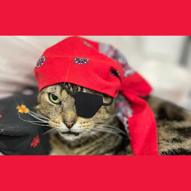 Photo of Tiberius (Tibsy)