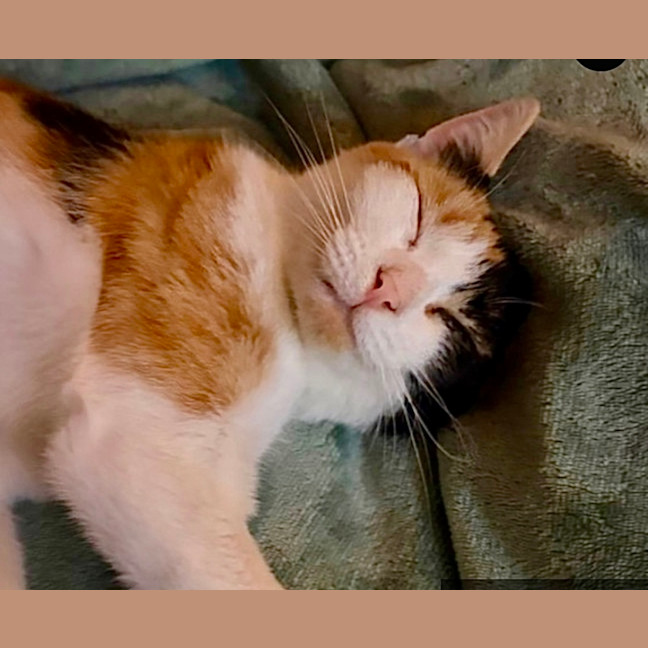 Photo of Betty 