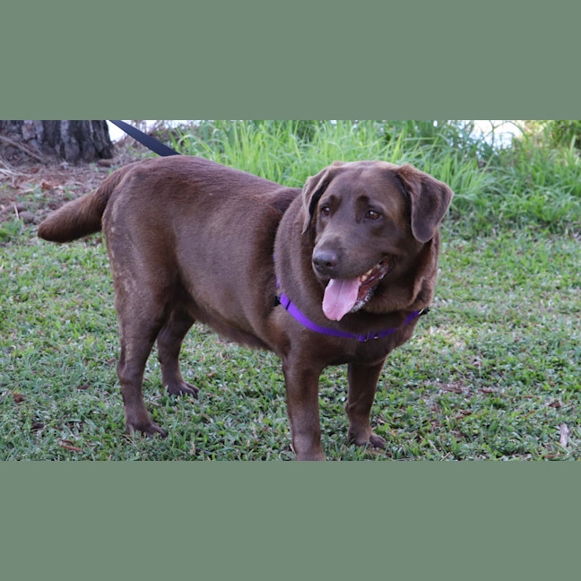 Photo of Lucy