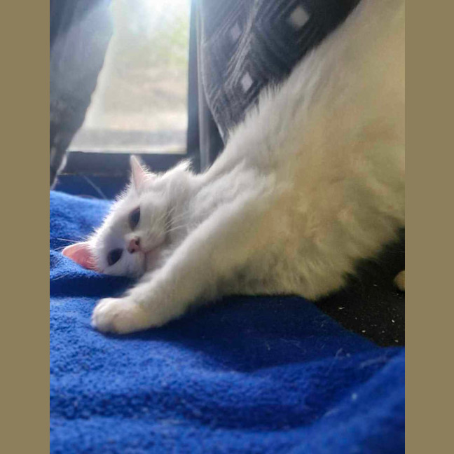 Photo of Grandpa Max