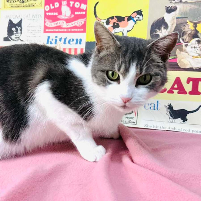 Photo of Callee   Located In Preston