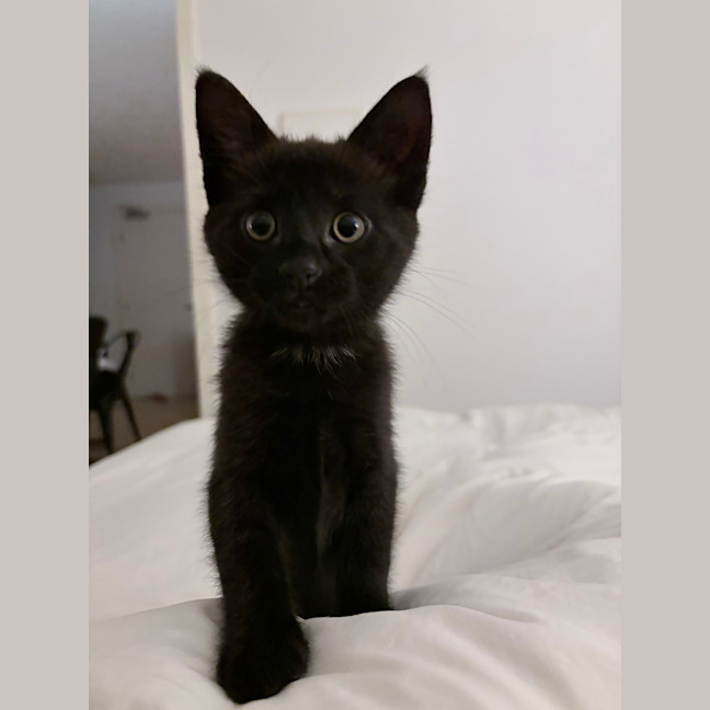 Photo of Billy