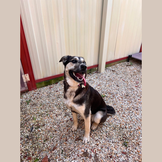 Photo of Pippa