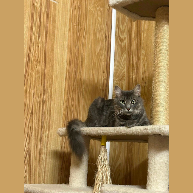 Photo of Precious