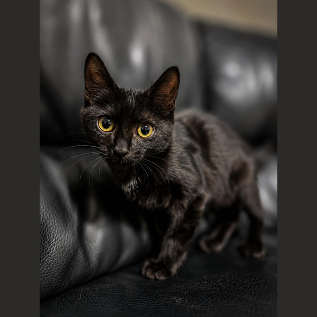 Photo of Vada
