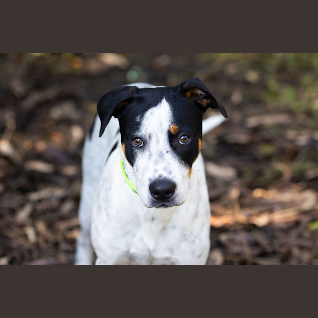 Photo of Mate