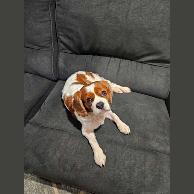 Photo of Elsa 