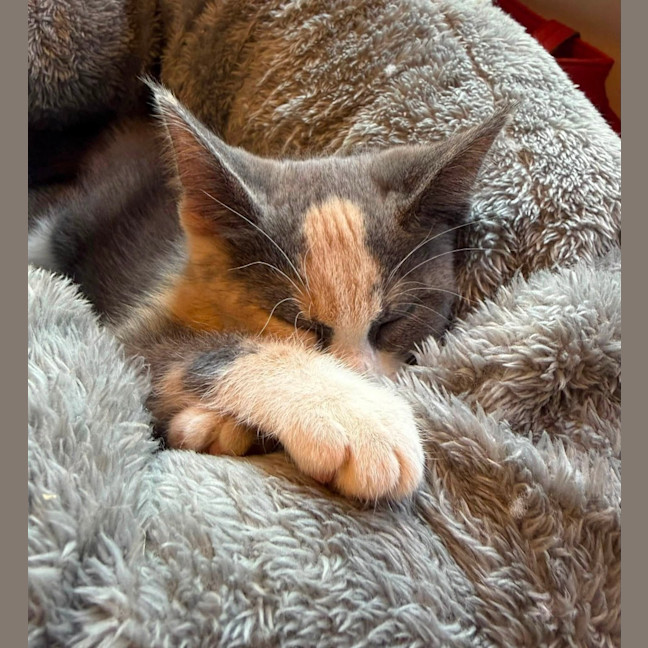 Photo of Heidi