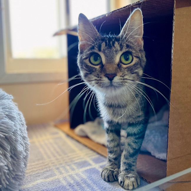 Photo of Lorna   Mowbray