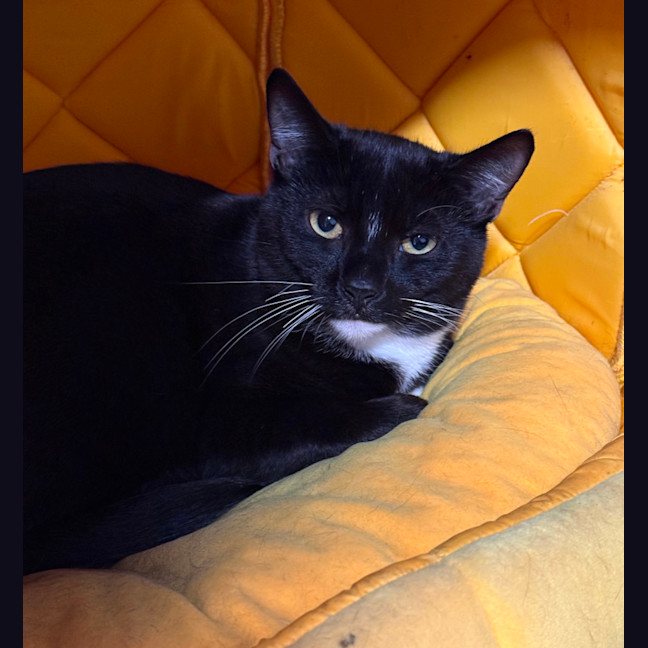 Photo of Quincy