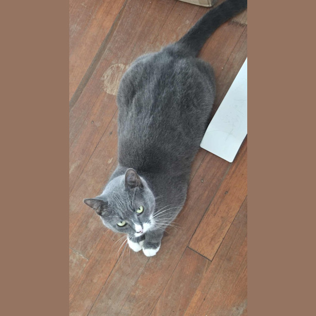 Photo of Butternut