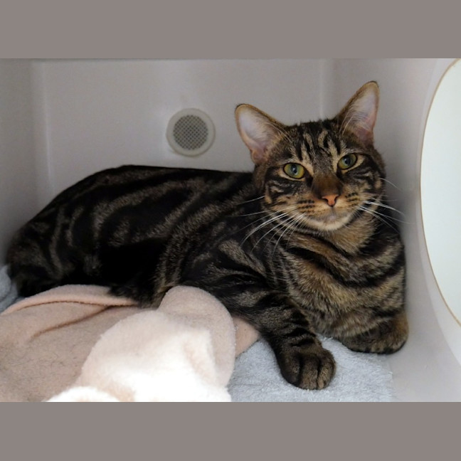 Photo of Johnny & Ulessys