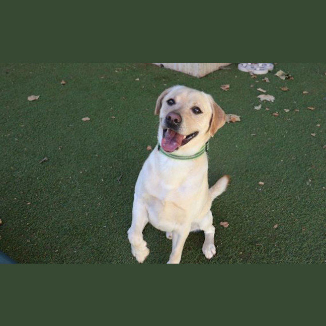 Photo of Charlie