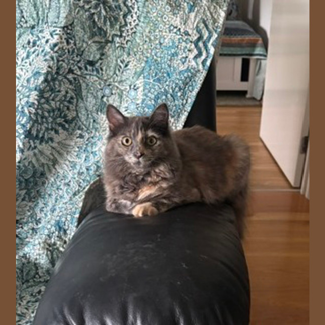 Photo of Riley