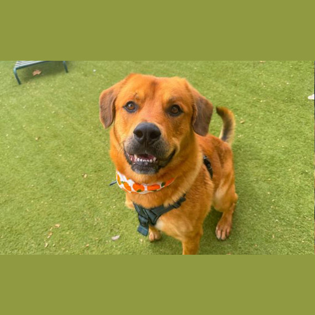 Photo of Clifford