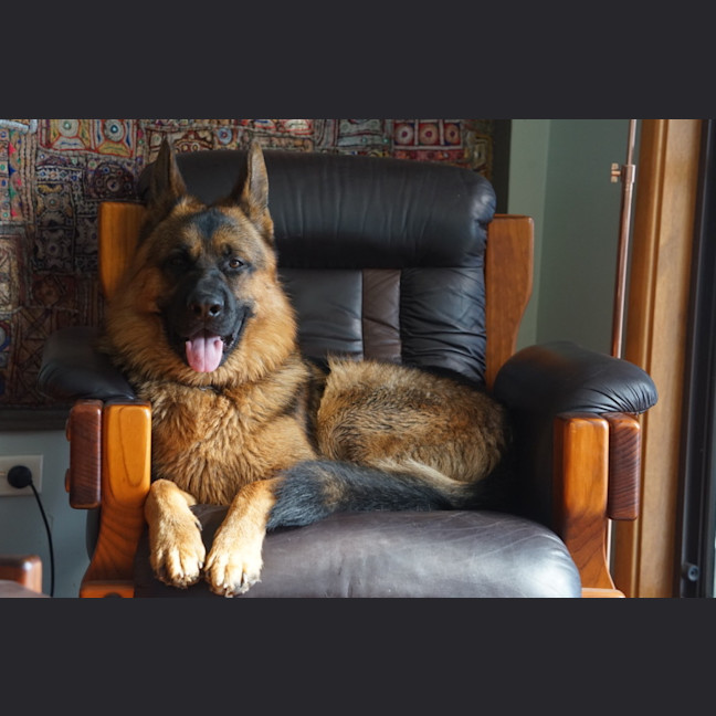 Photo of Stanley
