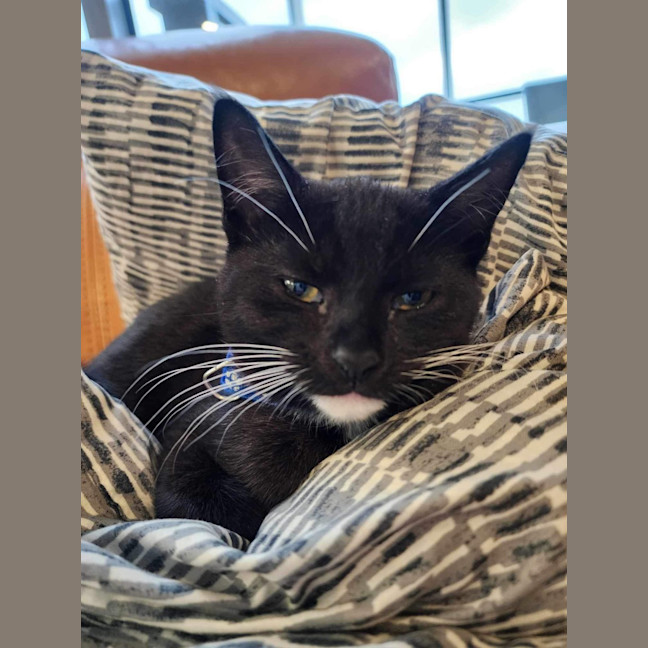 Photo of 🌸Penelope🌸