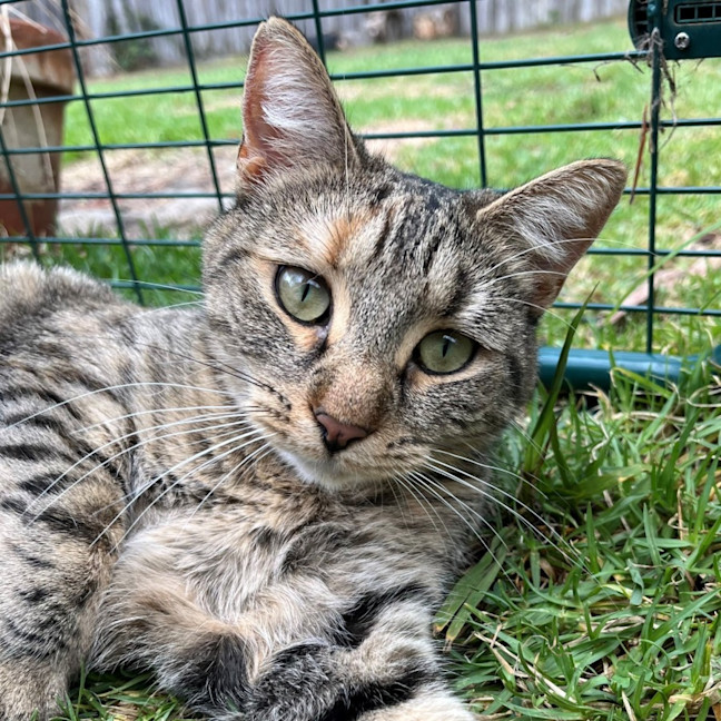 Photo of Tess