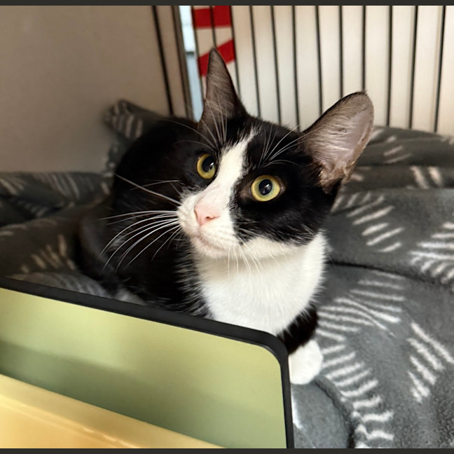 Photo of Sprout