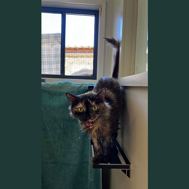 Photo of Princess