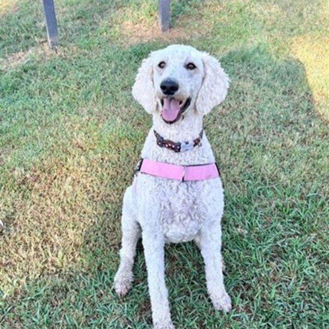 Photo of Penelope
