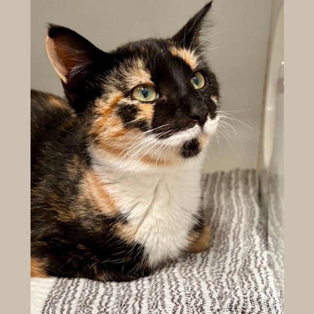 Photo of Holly