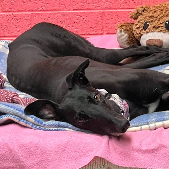 Photo of Tinker Bell