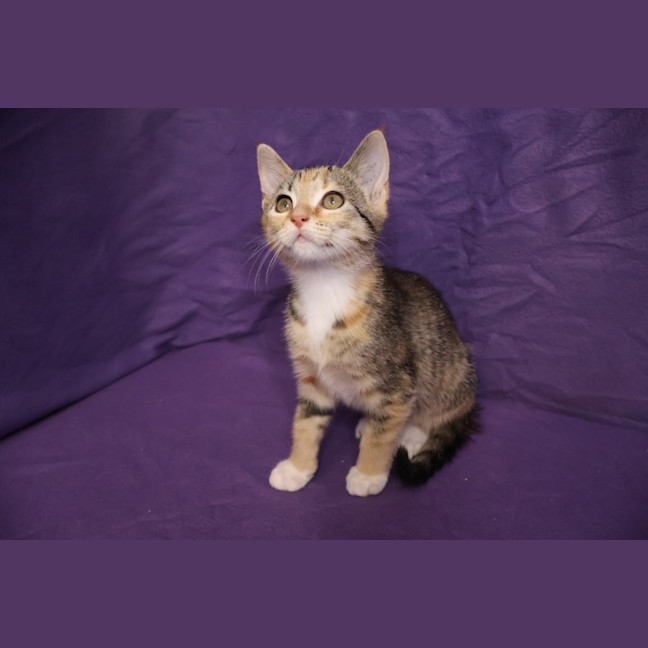 Photo of Wendy