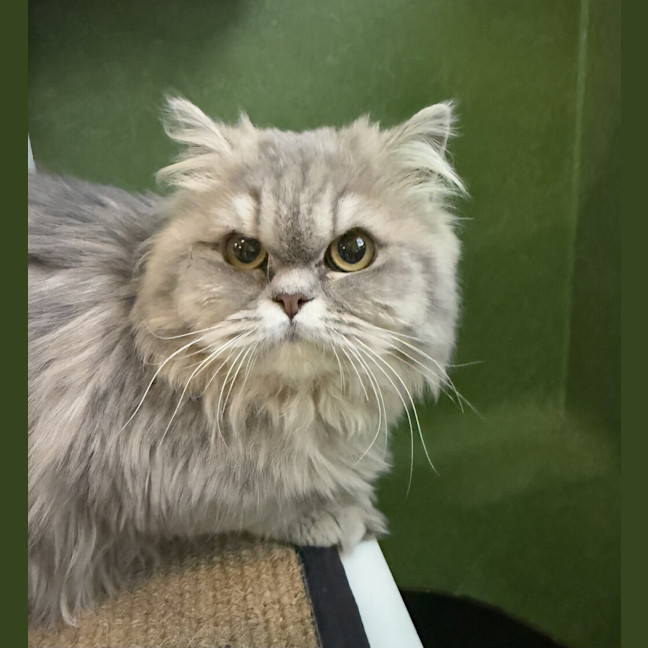 Photo of Winifred