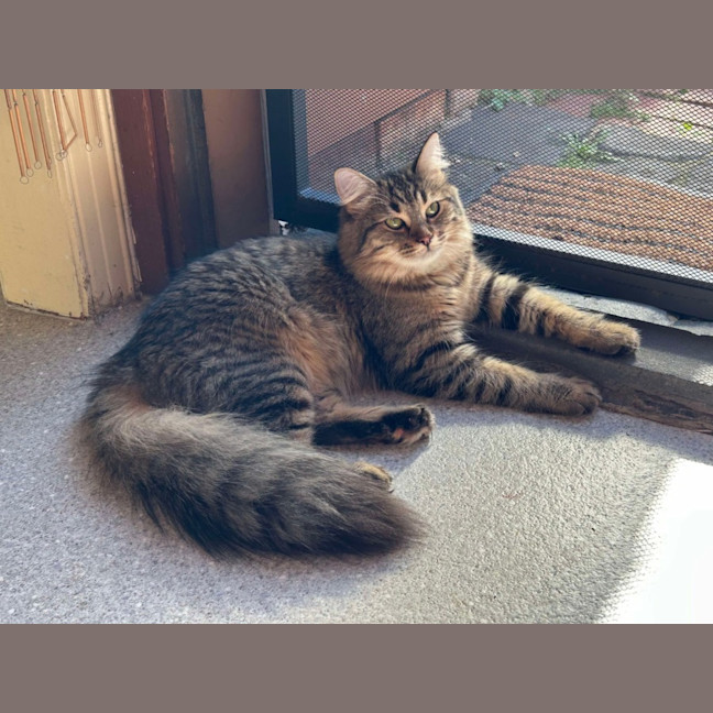 Photo of Penelope & Marshmellow 