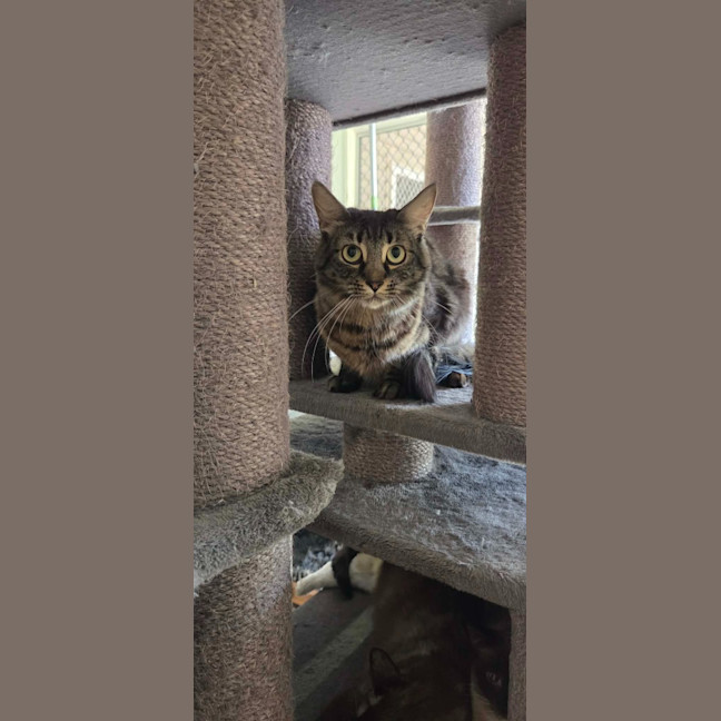Photo of Mia
